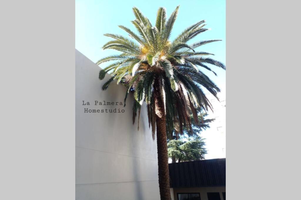 La Palmera Homestudio. Hermoso Apartamento En El Corazon De Palermo Hollywood Buenos Aires Exterior photo